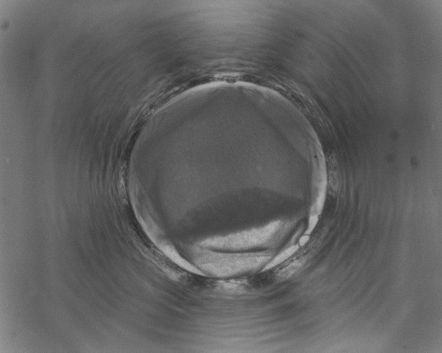 X0000067880573200605111828