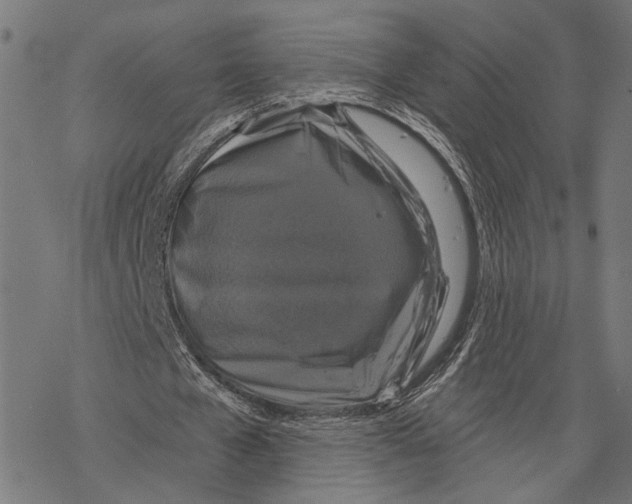 X0000067880577200605111827