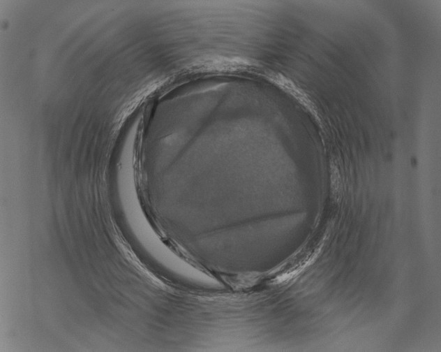 X0000067880581200605111827