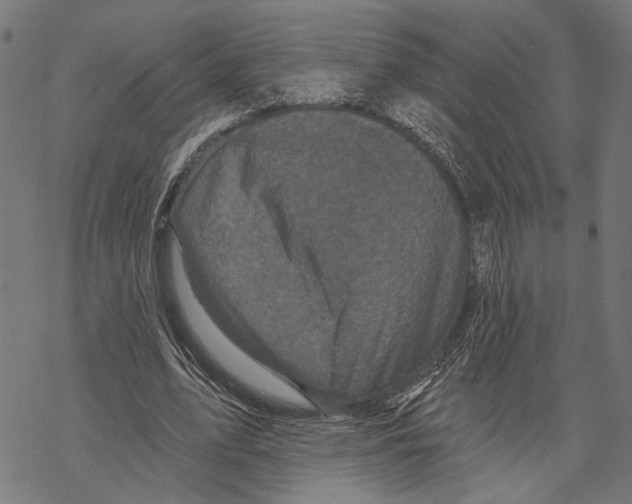 X0000067880583200605111827