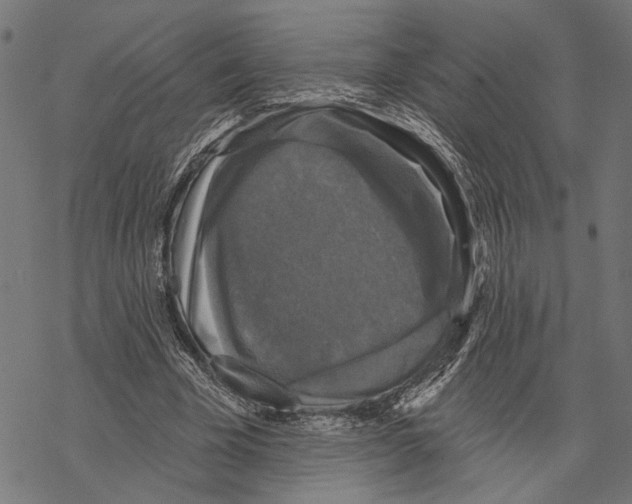 X0000067880585200605111827