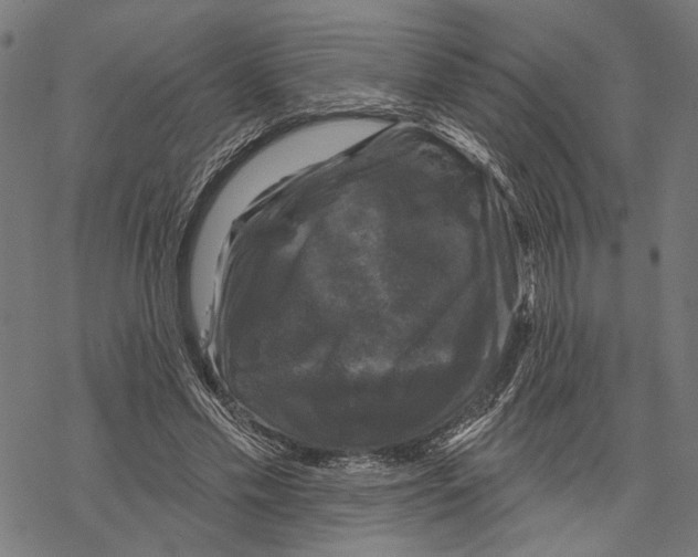 X0000067880589200605111827