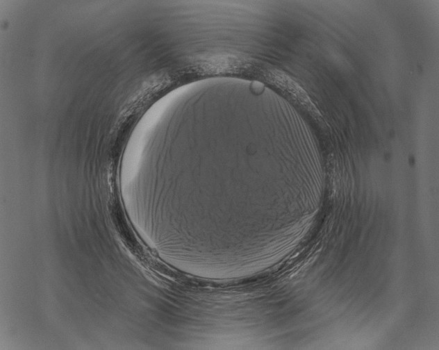 X0000067880590200605111827