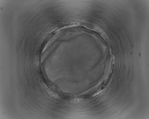 X0000067880593200605111827