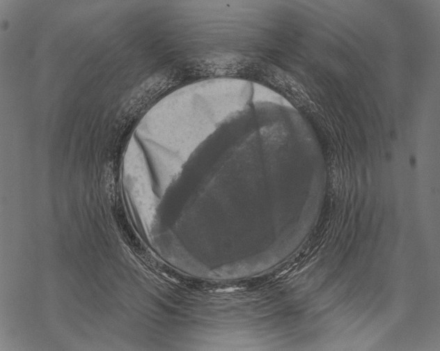 X0000067880594200605111827