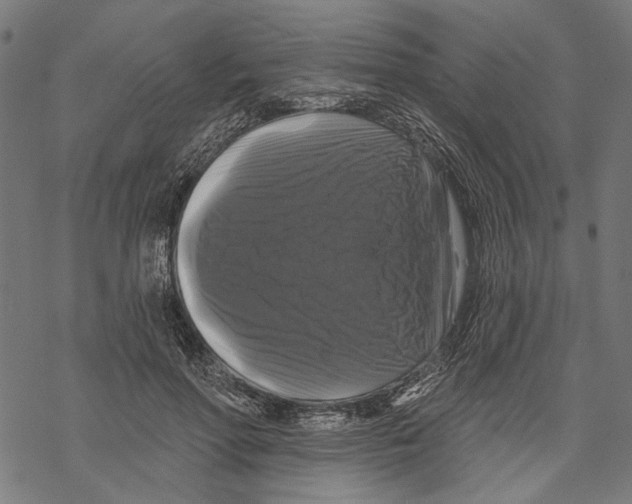 X0000067880598200605111827