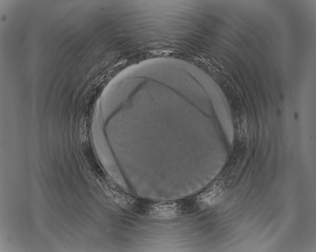X0000067880606200605111827