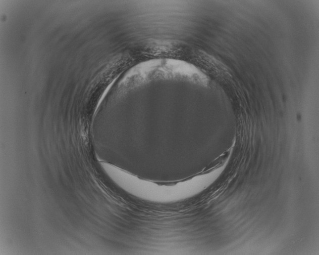 X0000067880607200605111827