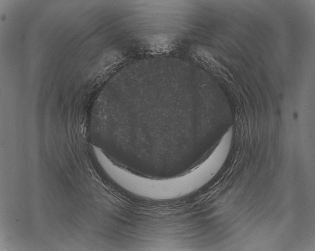 X0000067880608200605111827