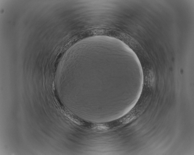 X0000067880610200605111827