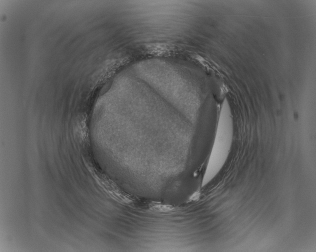 X0000067880611200605111827