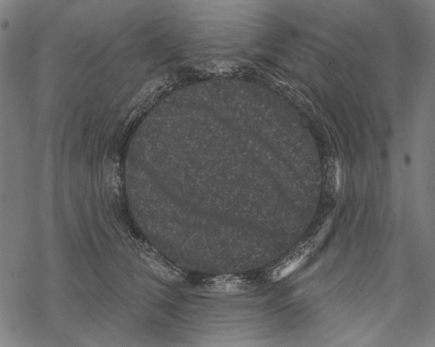 X0000067880612200605111827
