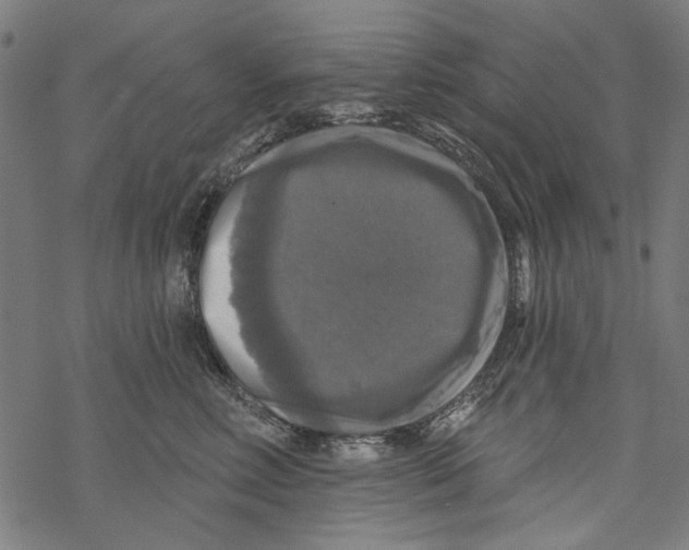 X0000067880618200605111827