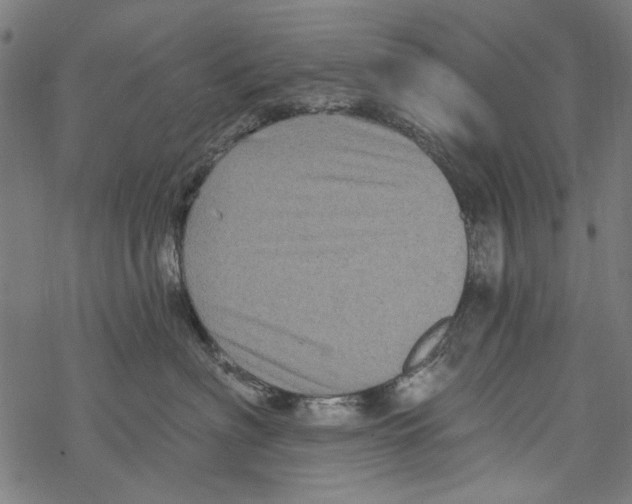 X0000067880622200605111827