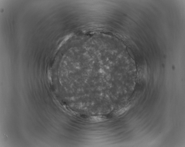 X0000067880623200605111827