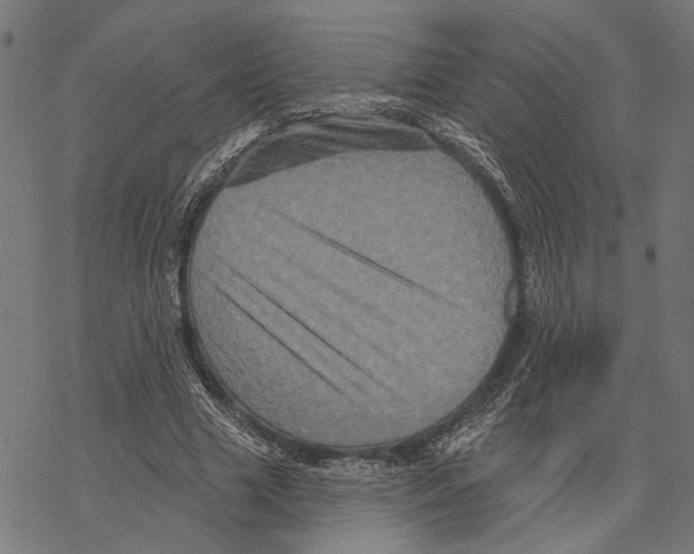 X0000067880633200605111826