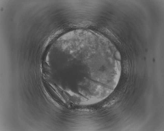 X0000067880634200605111826