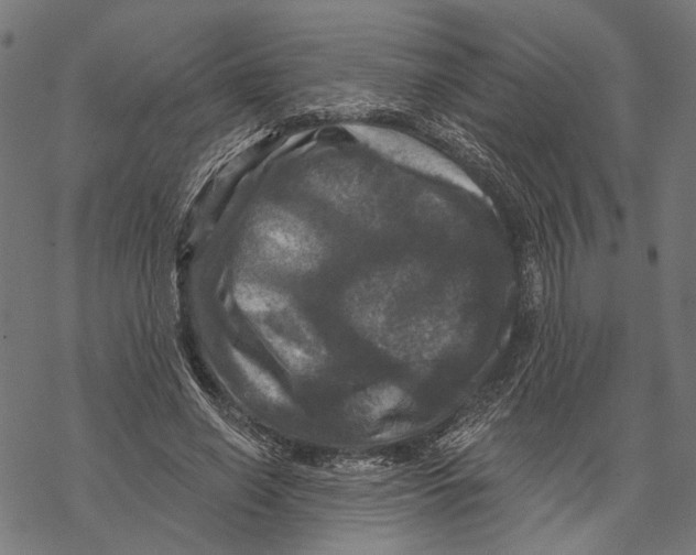 X0000067880638200605111826