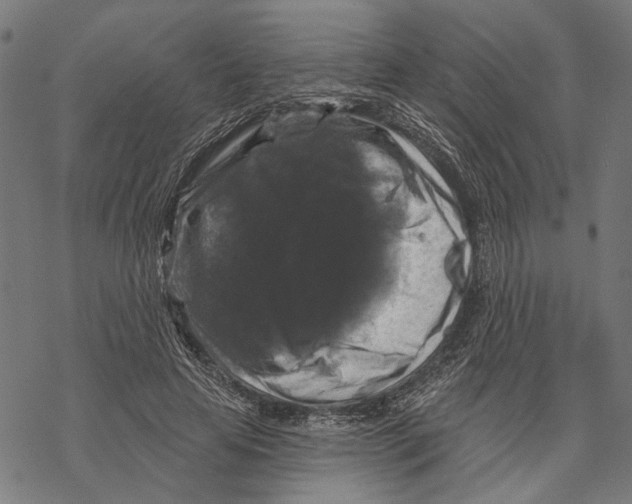 X0000067880641200605111826