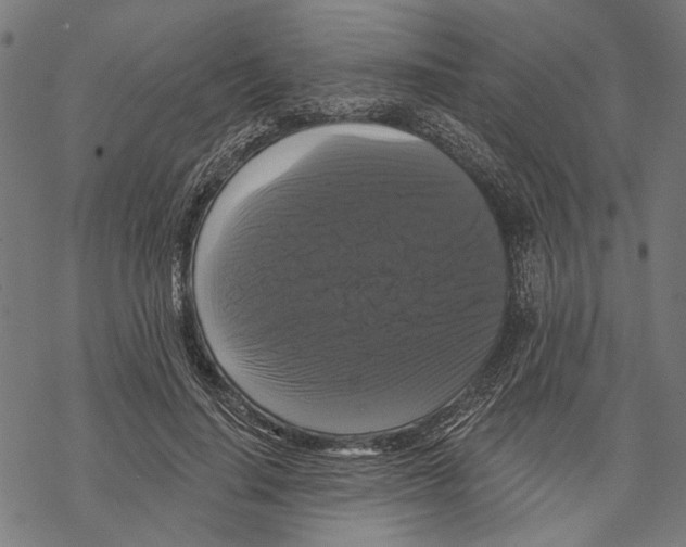 X0000067880644200605111826