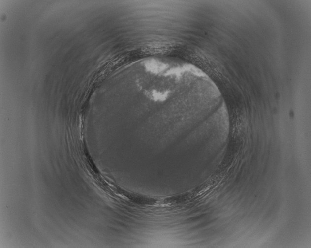 X0000067880647200605111826
