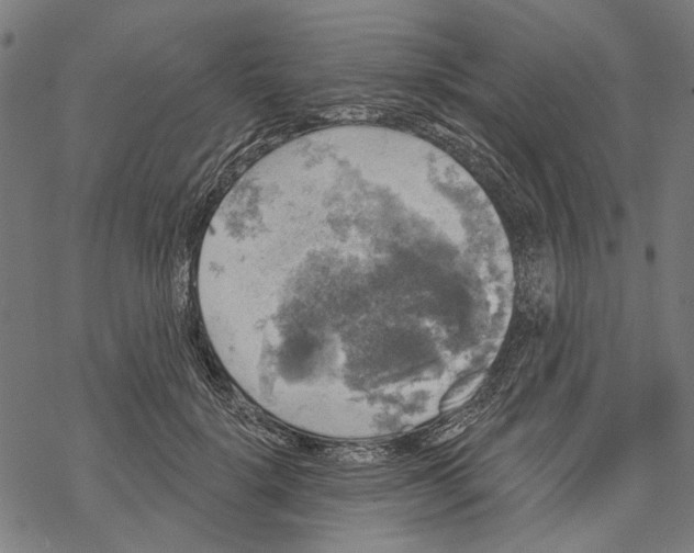 X0000067880652200605111826