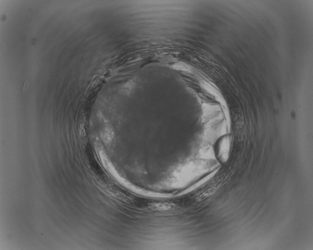 X0000067880654200605111826