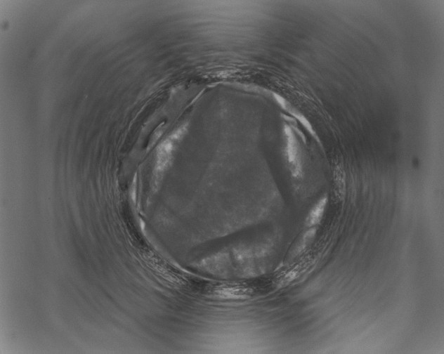 X0000067880657200605111826