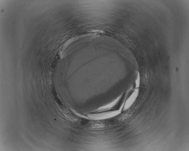 X0000067880658200605111826