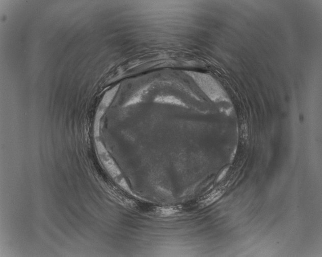 X0000067880662200605111826
