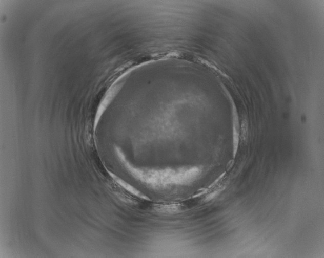 X0000067880671200605111827