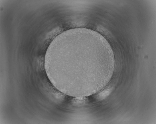 X0000067880672200605111827