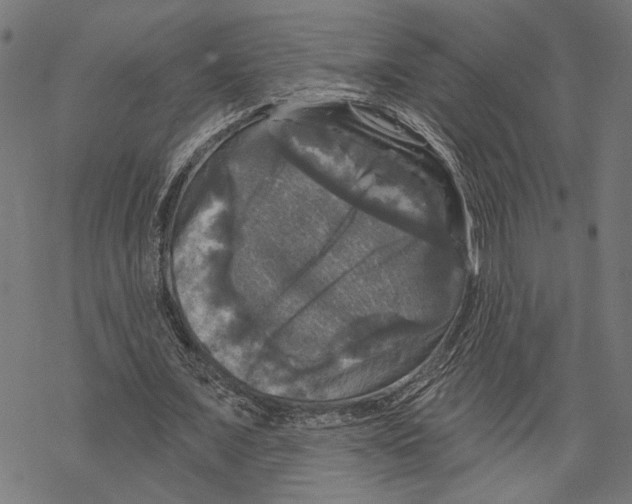 X0000067880675200605111826