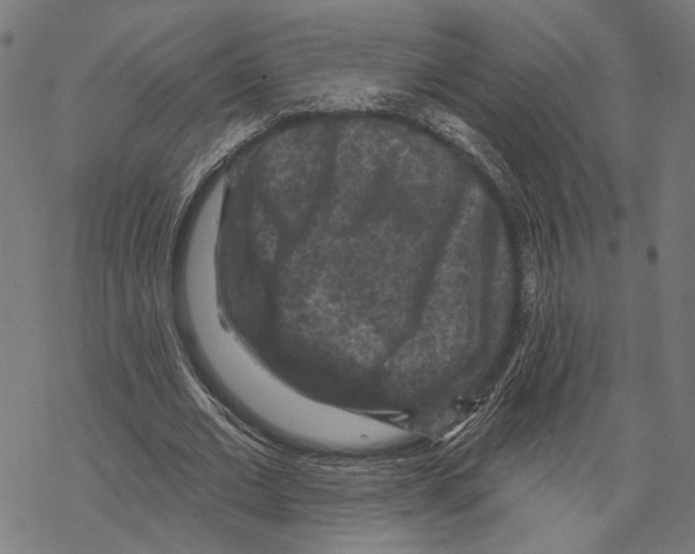X0000067880677200605111826