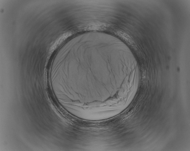 X0000067880678200605111826