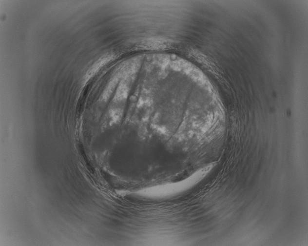 X0000067880679200605111826