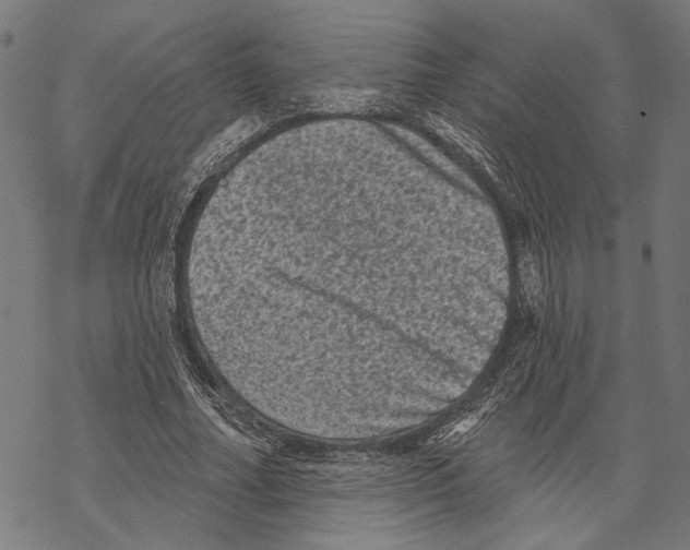 X0000067880682200605111826