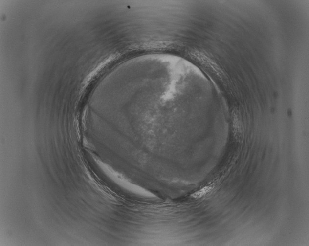 X0000067880684200605111826