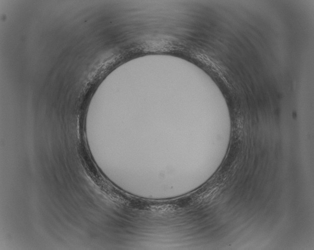X0000067880686200605111826