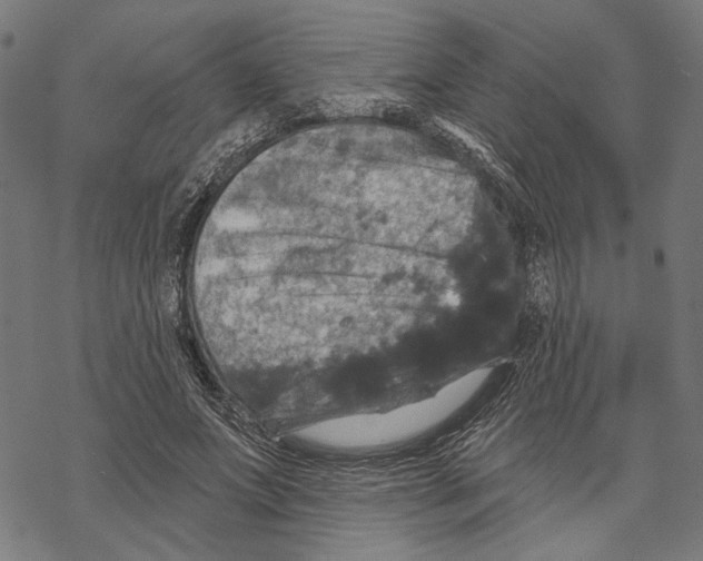 X0000067880687200605111826
