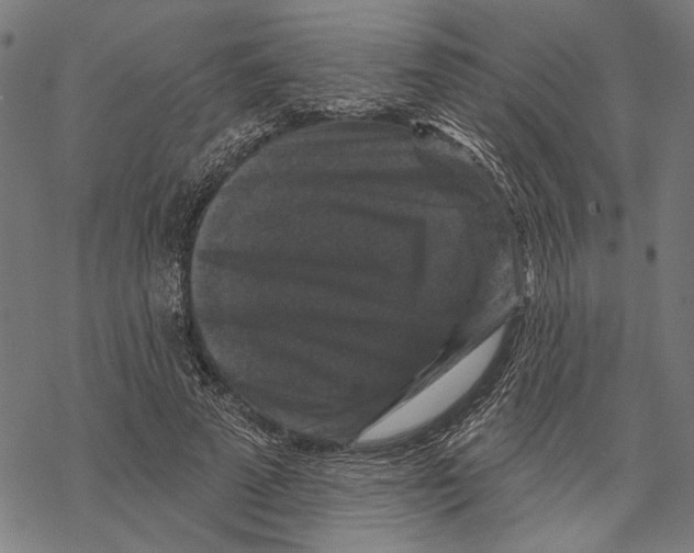 X0000067880689200605111826