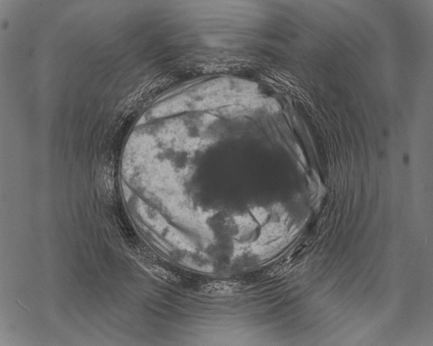 X0000067880691200605111825
