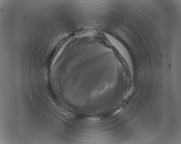 X0000067880692200605111825