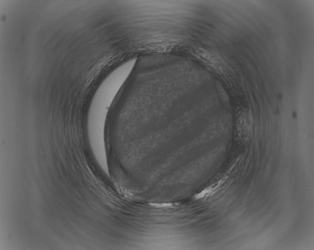 X0000067880693200605111825
