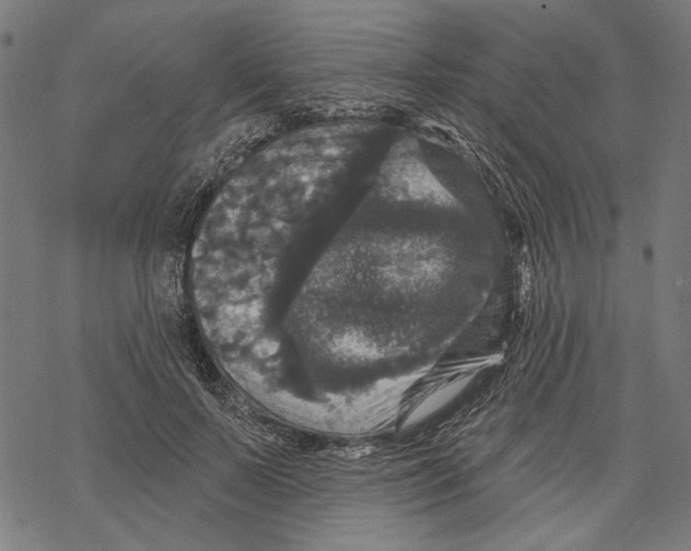 X0000067880695200605111825