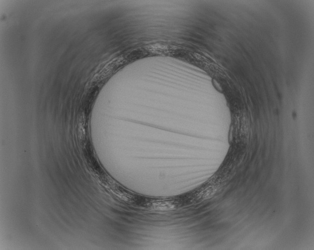 X0000067880702200605111825