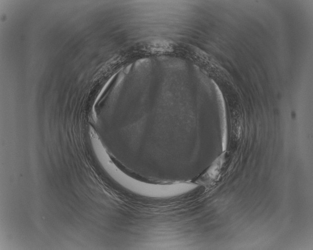X0000067880704200605111825