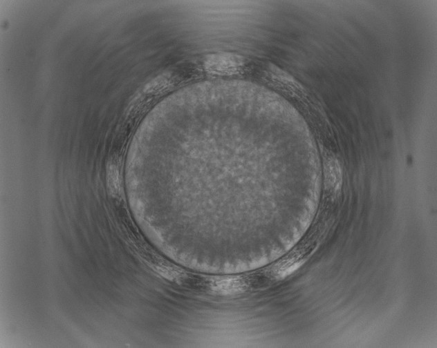 X0000067880705200605111825