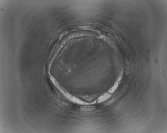 X0000067880707200605111825