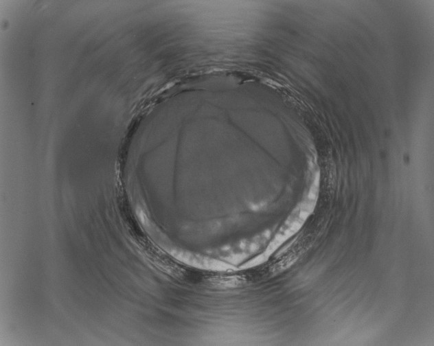 X0000067880711200605111825
